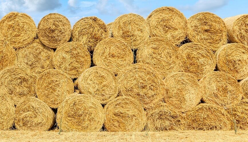 Hay Bales